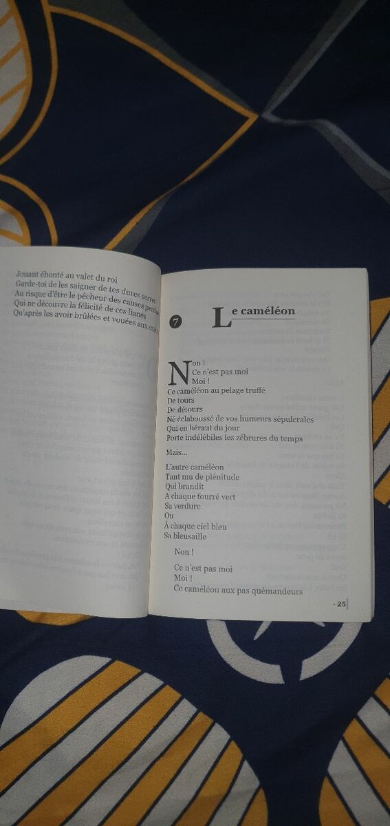 Le testament - Poésie