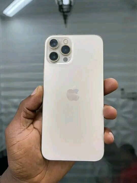 iPhone Pro Max