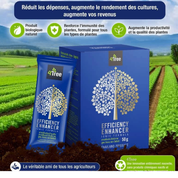 4Tree Angrais bio & ionique