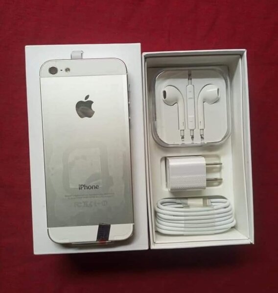 iPhone 5S débloqué 16Go