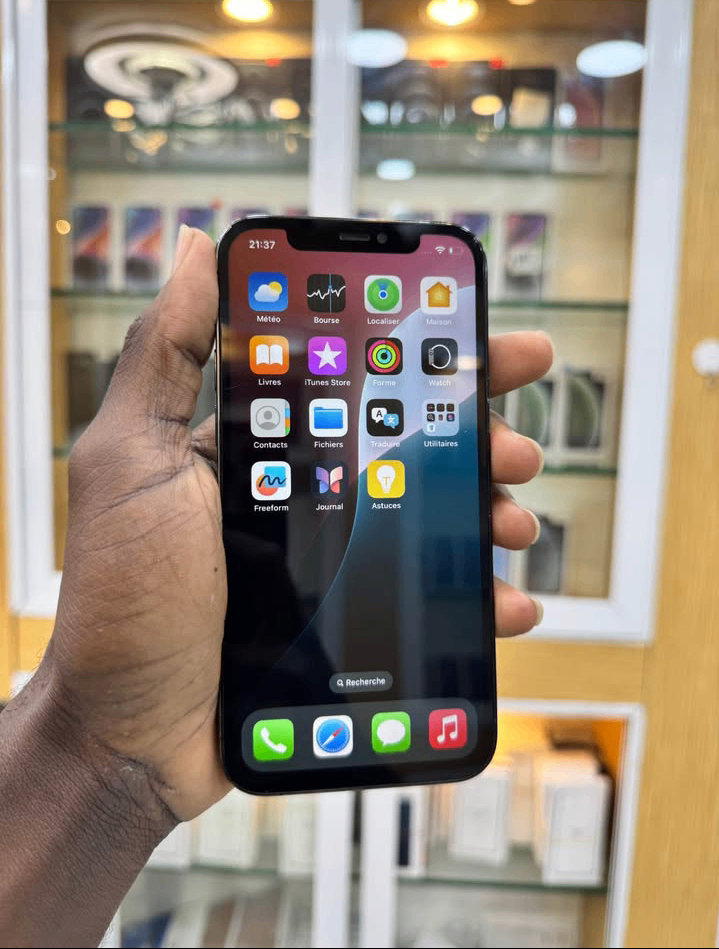 iPhone 12 Pro Max 256 Go