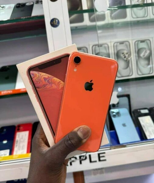 iPhone XR 64 Go Corail