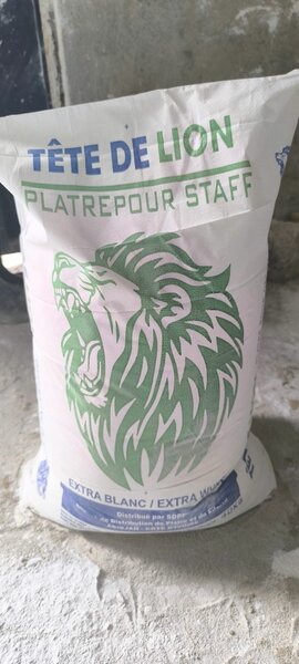 Plâtre de Paris Tête de Lion