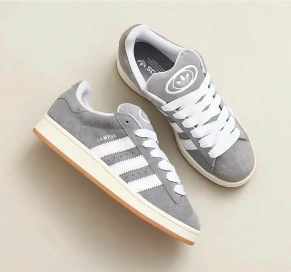 Adidas campus