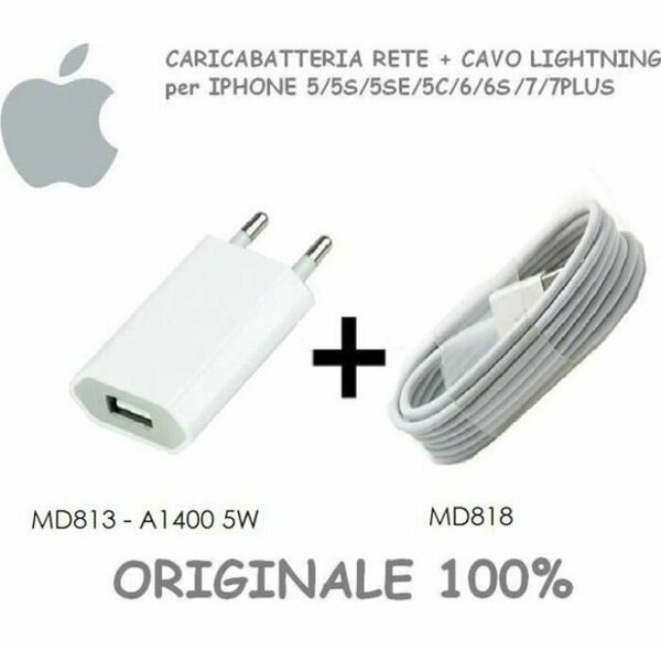 Chargeur et Câble Lightning iPhone