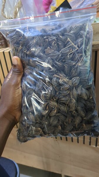 Griffes de lion 1 kilo