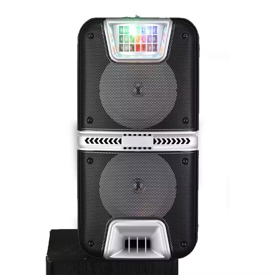 Haut-parleur de chariot portable 6.5 pouces, haute puissance