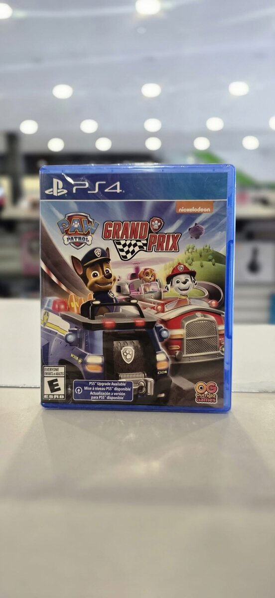 PS4 Paw Patrol Grand Prix