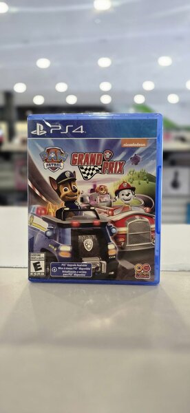 PS4 Paw Patrol Grand Prix