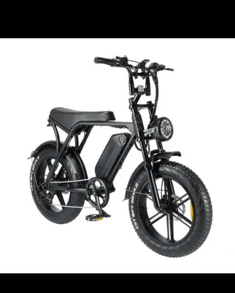 Vélo Électrique Tout-Terrain