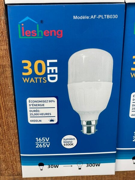 Ampoule LED 30W Économie