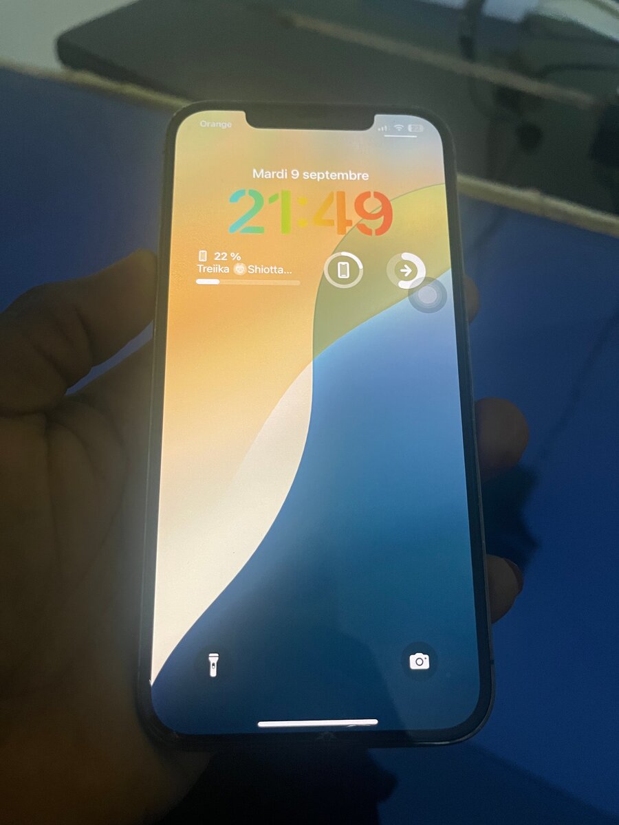 iPhone 12 Pro Max 512GB Gris