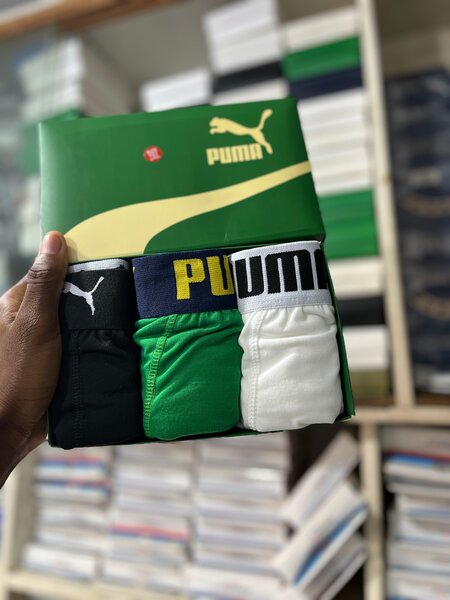 Boxers puma