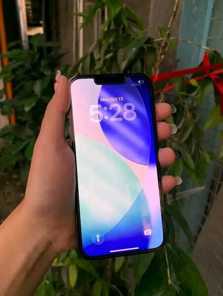 iPhone Pro Max 256GB