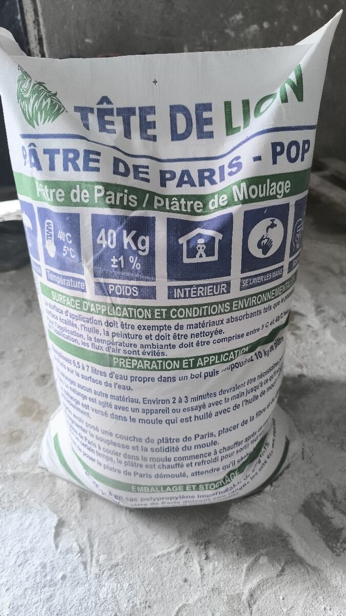 Plâtre de Paris Tête de Lion