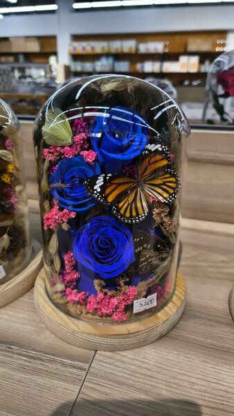 Живые розы в колбе