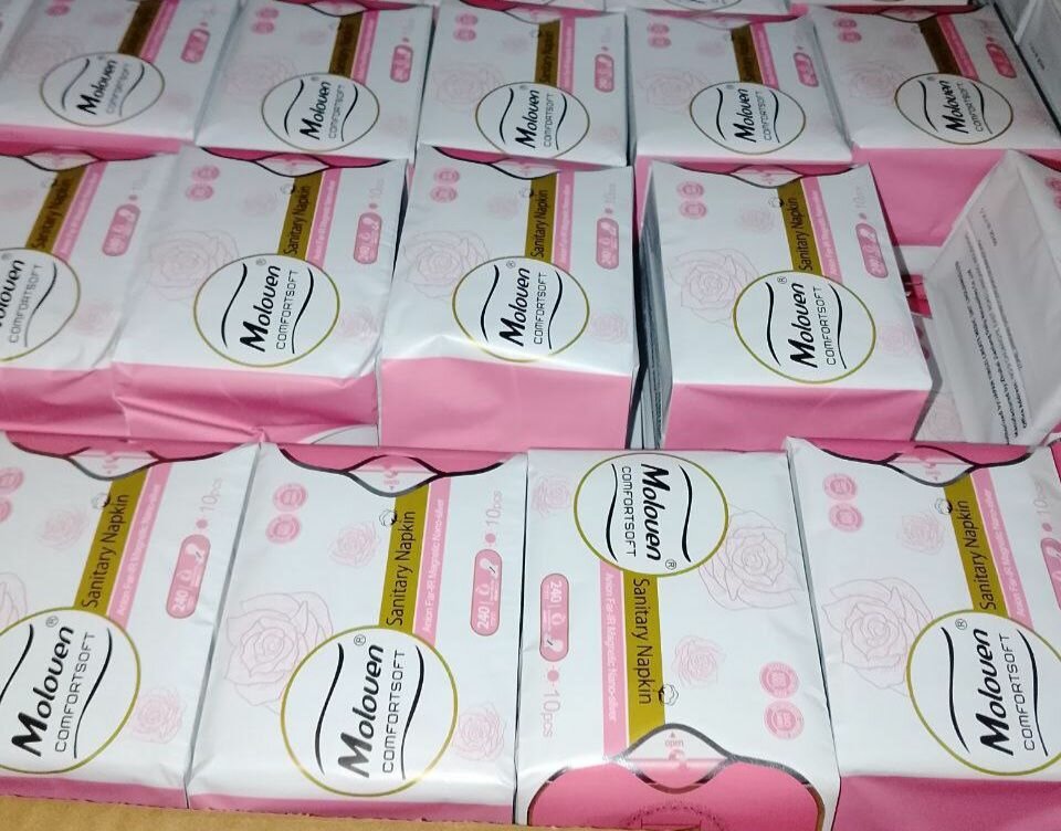 Serviettes hygiénique(lot de 2