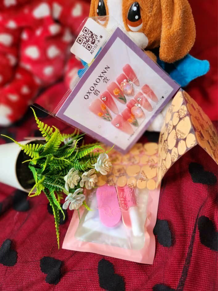 Lux N Style stick on nails