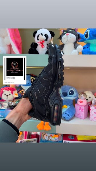 Basket NIKE tn authentique avec sa boîte