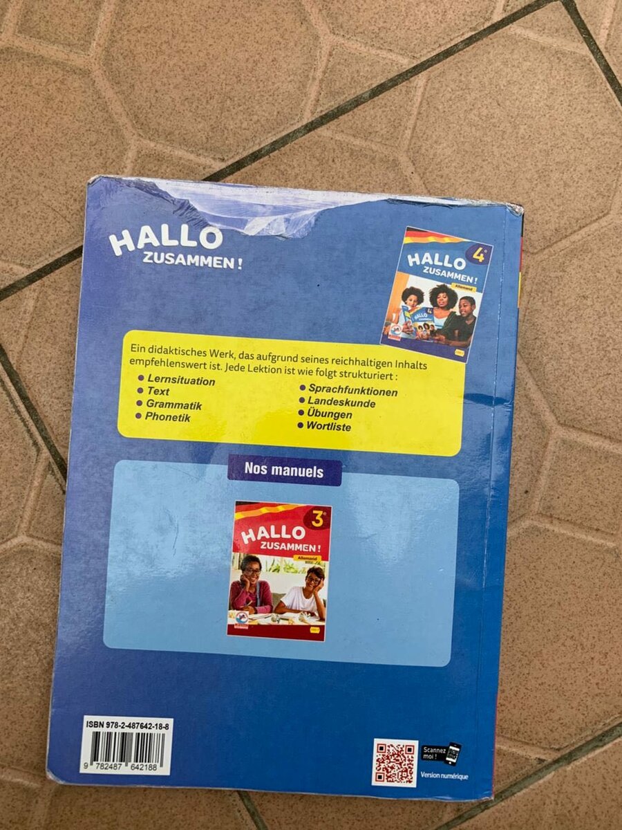 Manuel d'Allemand 'Hallo Zusammen!'