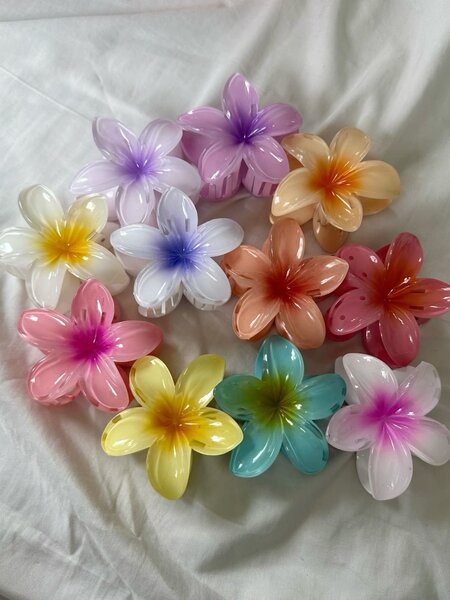 Pinces à cheveux fleurs colorées