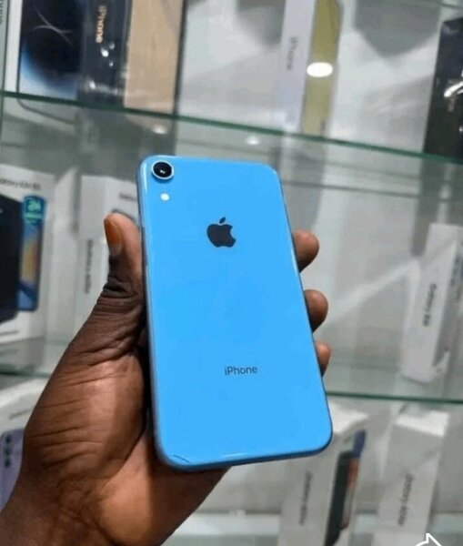iPhone XR Bleu