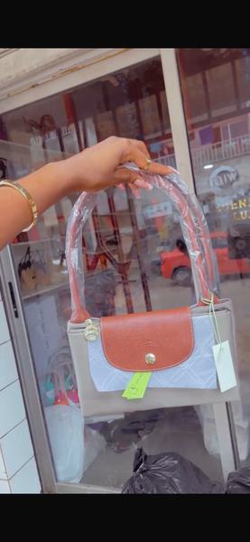 Sac longchamps taille L