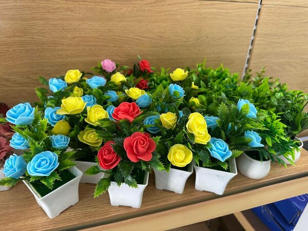 Mini Plantes Décoratives en Pot