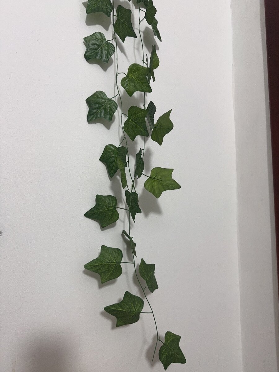 Décorative hanging plant