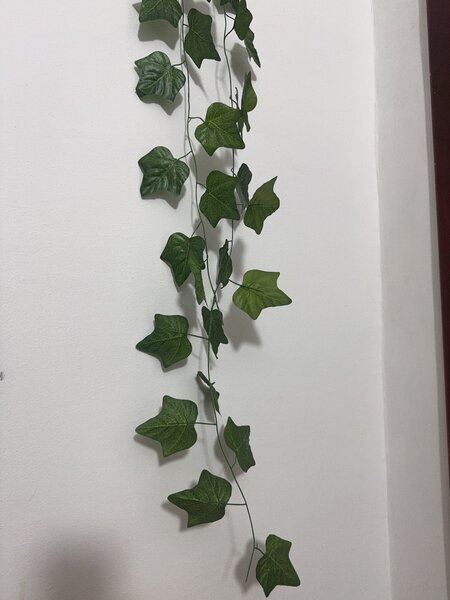 Décorative hanging plant