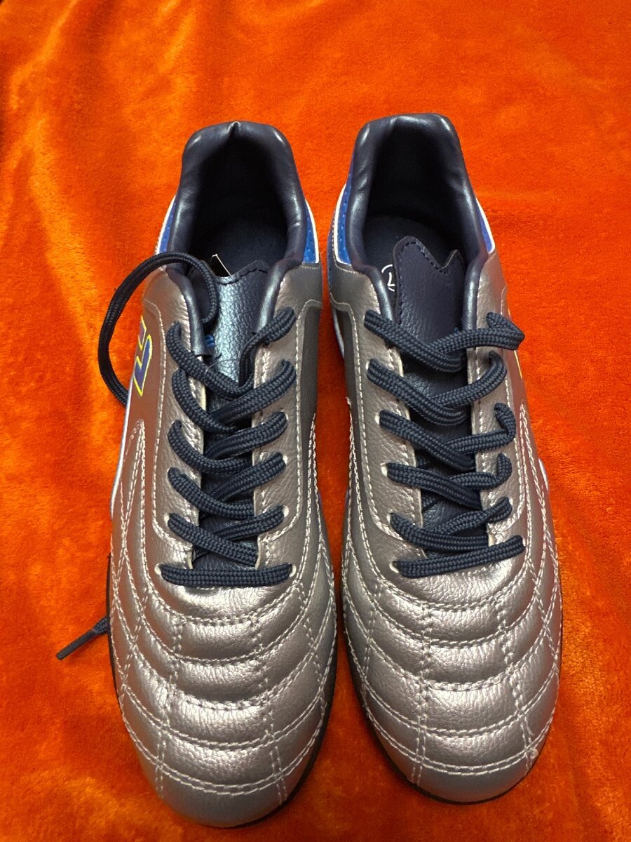 Сороконожки