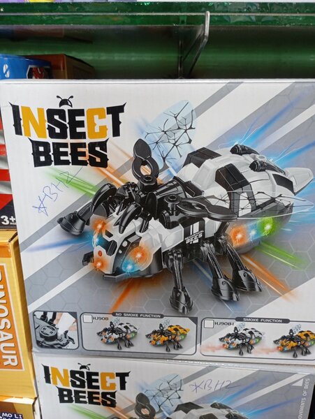 Insect bee