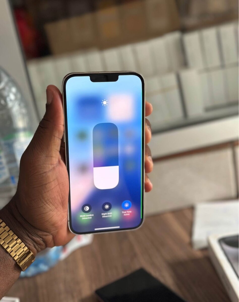 iPhone 13 Pro Max 256GB