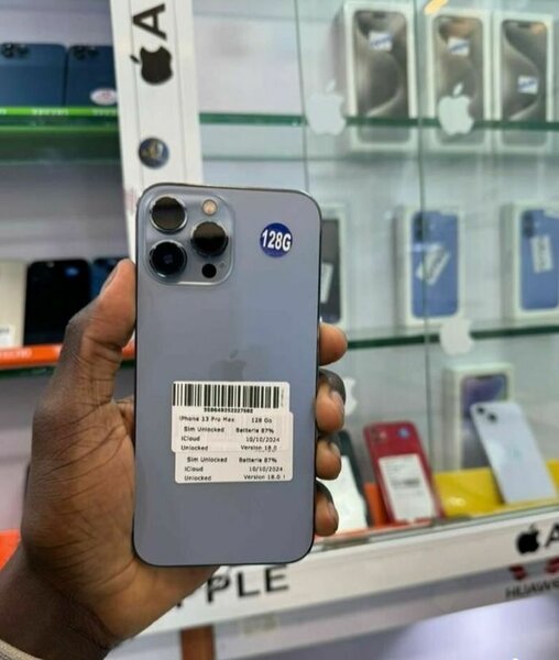 iPhone 13 Pro Max 128Go débloqué