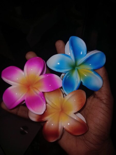 Pinces à cheveux fleur colorées