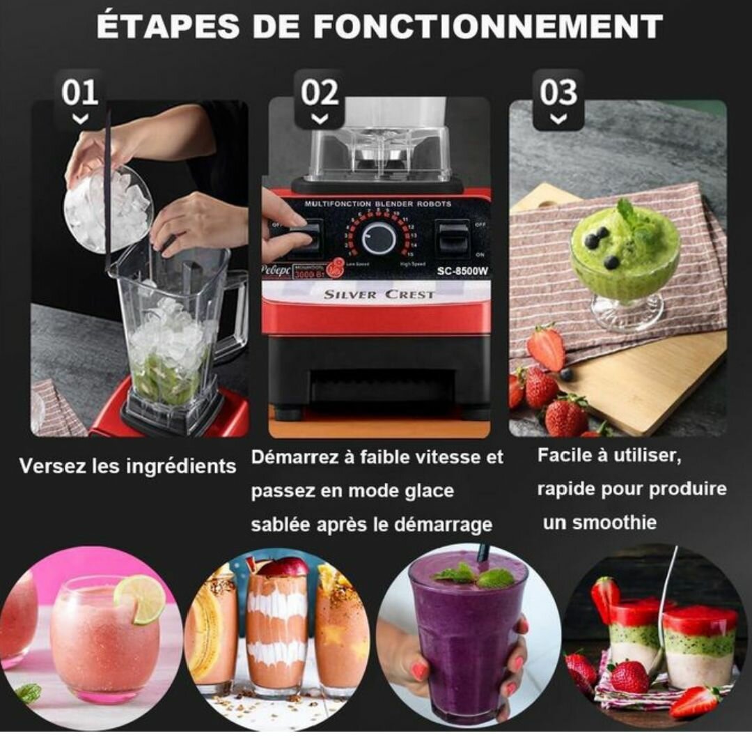 Blender Puissant Multifonction