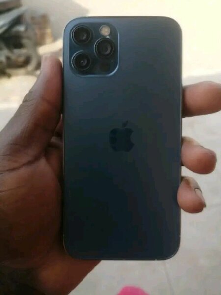 iPhone 12 Pro Max Gris