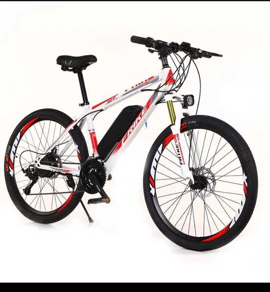 Vélo électrique tout-terrain