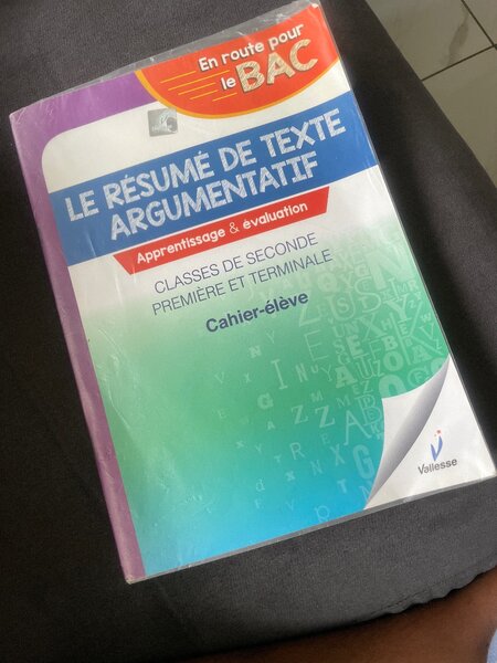 Cahier Résumé Texte BAC