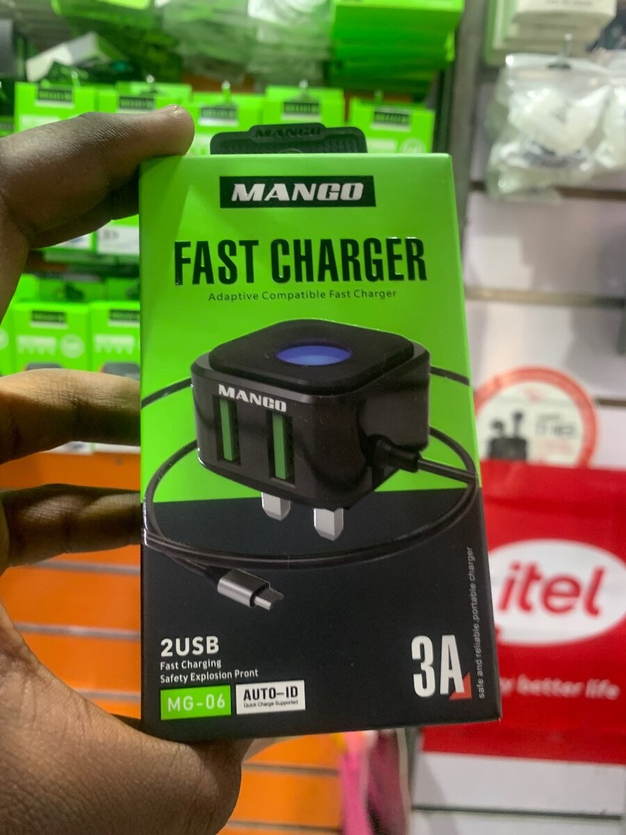 Fast charger