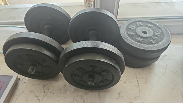 30kg dumble Both