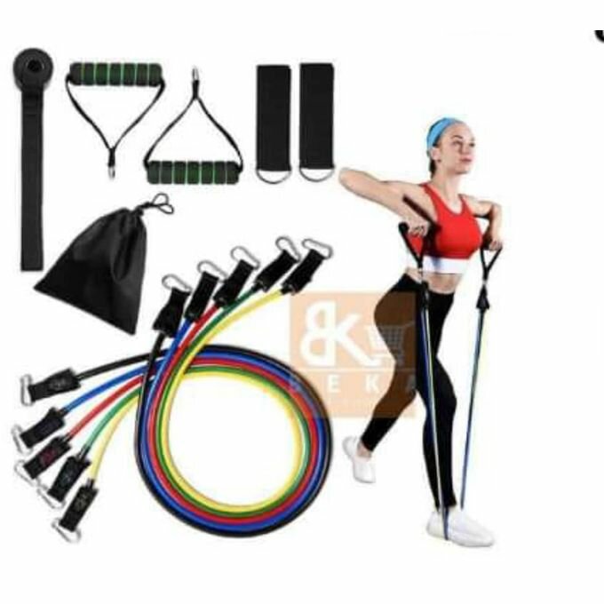 Roue Abdominale+punsh Up + Corde