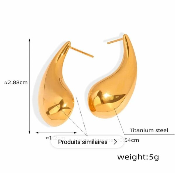 Boucles d'oreilles en titane