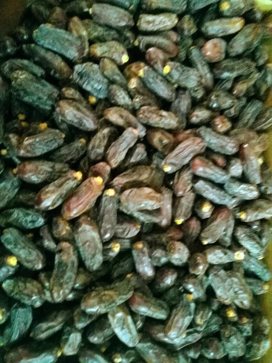 Rubai dates