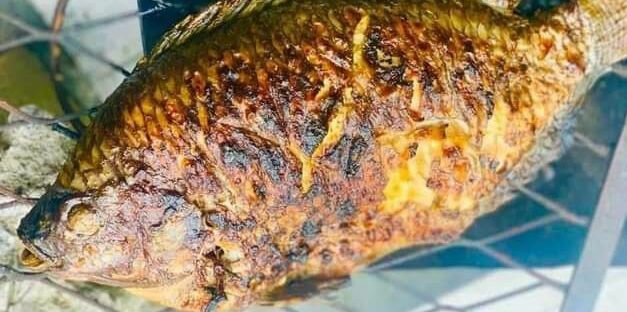 Poisson Carpe Braisé