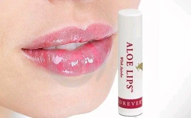 Baume à lèvres Aloe Lips