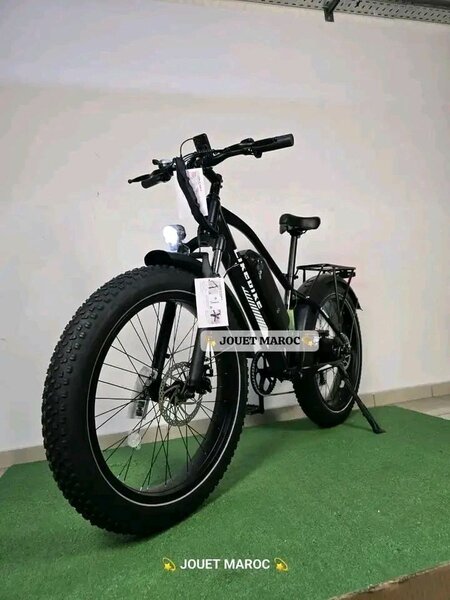 Vélo électrique tout-terrain