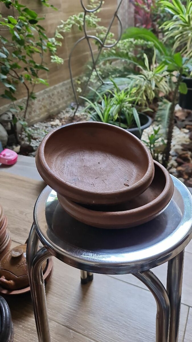 Assiettes en terre cuite rustiques