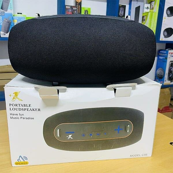 Haut-parleur portable Bluetooth puissant