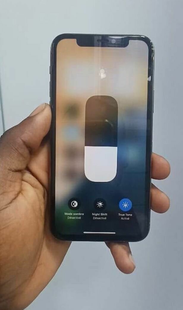 iPhone 12 Pro Max Or